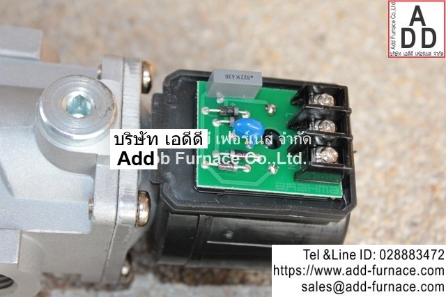 Brahma Type EG12*SR*GMO (4)